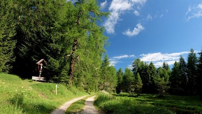 Der Weiher am Ritjoch steht unter Naturschutz