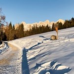 Vor uns erhebt sich der Rosengarten