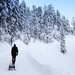 Im sanften Anstieg führt die Rodelbahn Wildbad Innichen durch die tiefverschneite Landschaft