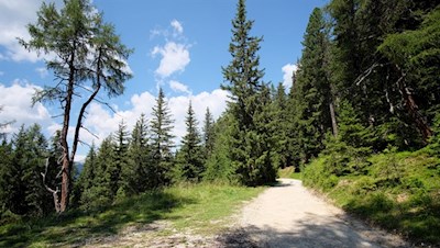 Auf breiten Wegen zur Brunnerwiesen Alm