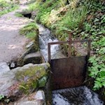 Waale sind charakteristisch für die Meraner und Vinschger Kulturlandschaft