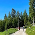 Sanftes Wandern auf dem Perlenweg im Eggental