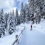 Im sanften Anstieg zur Glatsch Alm