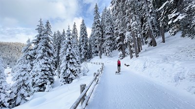 Im sanften Anstieg zur Glatsch Alm