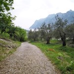 Während der Abfahrt vom Monte Brione erschließen sich malerische Ausblicke auf den nördlichen Gardasee