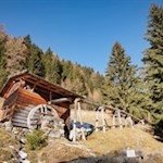 Alternativ dazu kann man auch auf dem Mühlenweg zum Ausgangspunkt hochwandern