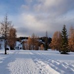 „Am Ziel deiner Wünsche wirst du jedenfalls eines vermissen: dein Wandern zum Ziel.“ (M. von Ebner-Eschenbach)