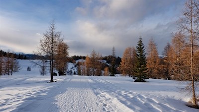 „Am Ziel deiner Wünsche wirst du jedenfalls eines vermissen: dein Wandern zum Ziel.“ (M. von Ebner-Eschenbach)
