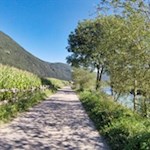 Entlang der Ahr führt der Radweg nach Sand in Taufers