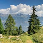 Wanderung zur Tarscher und Latscher Alm