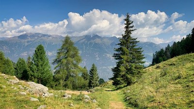 Wanderung zur Tarscher und Latscher Alm