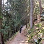 Teile des Keschtnwegs führen durch den Wald