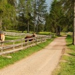 Leichte Wanderung auf dem Salten