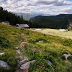 Inmitten einer breiten Lichtung liegt die Zirmaitalm