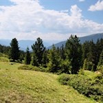 Ausblick nahe der Brunnerwiesen Alm