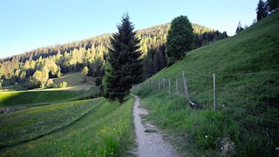 Der Erzweg verläuft auf der Schattenseite des Ridnauntals