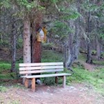 Idyllischer Rastplatz auf dem Weg zur Welschellener Alm