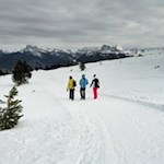 Sanfte Winterwanderung vor der Kulisse der Dolomiten 