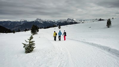 Sanfte Winterwanderung vor der Kulisse der Dolomiten 