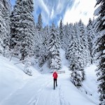 Schneeschuhwanderung zu den Latemarwiesen