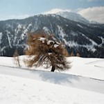 Winterwanderweg und Rodelbahn verlaufen auf getrennten Wegen