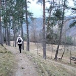 Ein sanfter Spazierweg führt auf den Peterbühl