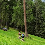 Es geht flach hinaus