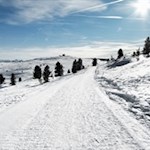 Auf dem Panoramaweg Rittner Horn
