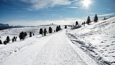 Auf dem Panoramaweg Rittner Horn