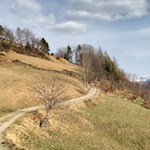 Auf dem Mitterweg bei Lajen