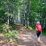 Die Wanderung zur Malga Maraia führt durch einen schönen Mischwald