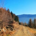 Selbst in der kalten Jahreszeit sonnenverwöhnt - der Terner Panoramaweg