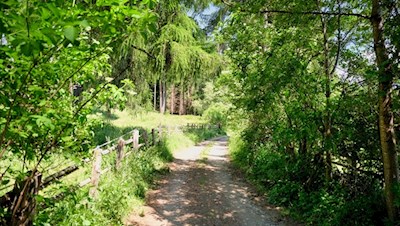 Wandern bei Lajen