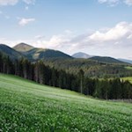 Im Hintergrund ragen der Große Gitsch und die Eidechse in die Höhe