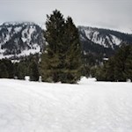 Der Winterwanderweg zur Halslhütte ist bestens ausgeschildert