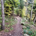 Auf dem Weg Nr. 7 zurück nach Mühlbach