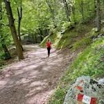 Sull'ampio sentiero n. 422B per Punta Larici