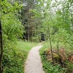 Auf sanften Wanderwegen zum Völser Weiher