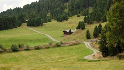 Im sanften Auf und Ab zur Schatzerhütte