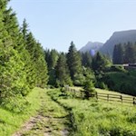 Die Allrissalm ist in eine malerische Natur gebettet