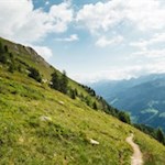 Durch naturbelassene Bergwiesen auf den Schönberg