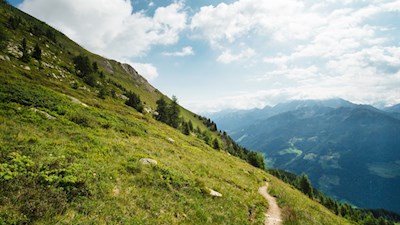 Durch naturbelassene Bergwiesen auf den Schönberg