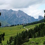 Am Südrand der Plätzwiese