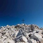 Der-kreuzgeschmückte-Petz