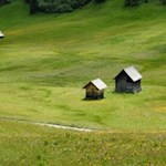 Auf nahezu ebenen Wegen durch die farbenfrohe Plätzwiese