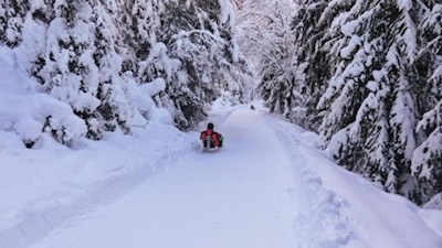 Abfahrt von der Alrißalm
