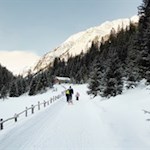 Die Rodelbahn von der Stadlalm eignet sich gut für Ausflüge mit Kindern