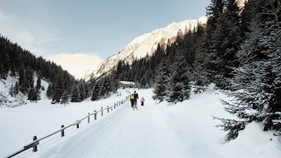 Die Rodelbahn von der Stadlalm eignet sich gut für Ausflüge mit Kindern
