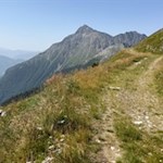 Durch steil abfallende Bergwiesen auf den Wolfendorn