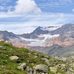 Weidende Schafe vor der imposanten Kulisse des Übeltalferners